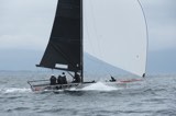 rooster cay28 whyw24 mon 750 8368